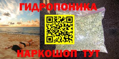 прущие грибы Гусев