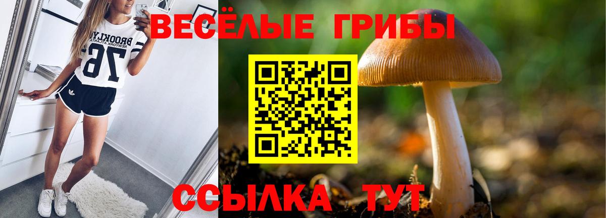Ноябрьск  Псилоцибиновые грибы MAGIC MUSHROOMS  купить   Вход с VPN 